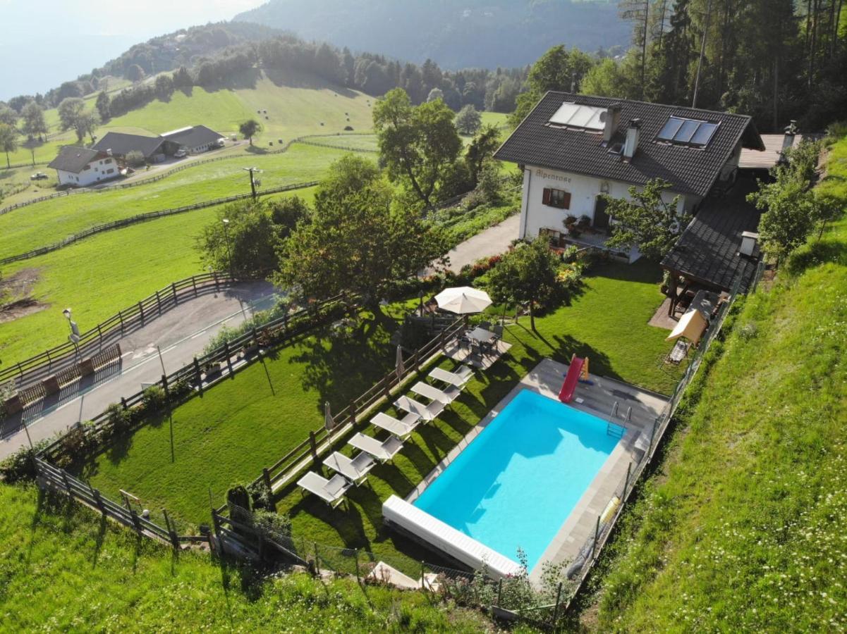 Alpenrose Daire Mölten Dış mekan fotoğraf