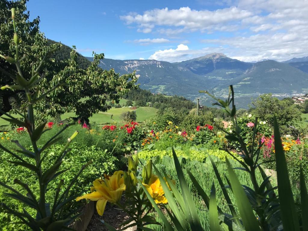 Alpenrose Daire Mölten Dış mekan fotoğraf