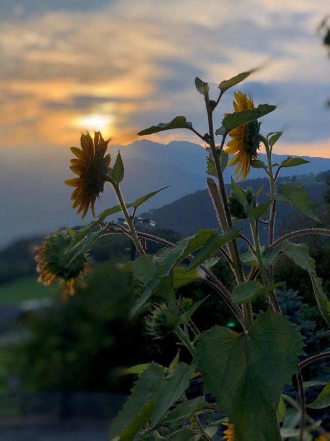 Alpenrose Daire Mölten Dış mekan fotoğraf