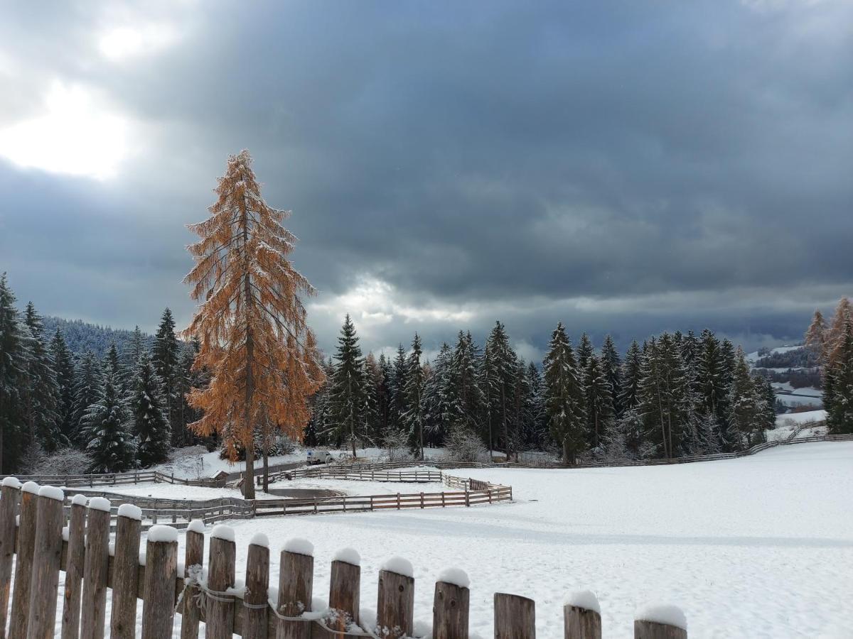 Alpenrose Daire Mölten Dış mekan fotoğraf
