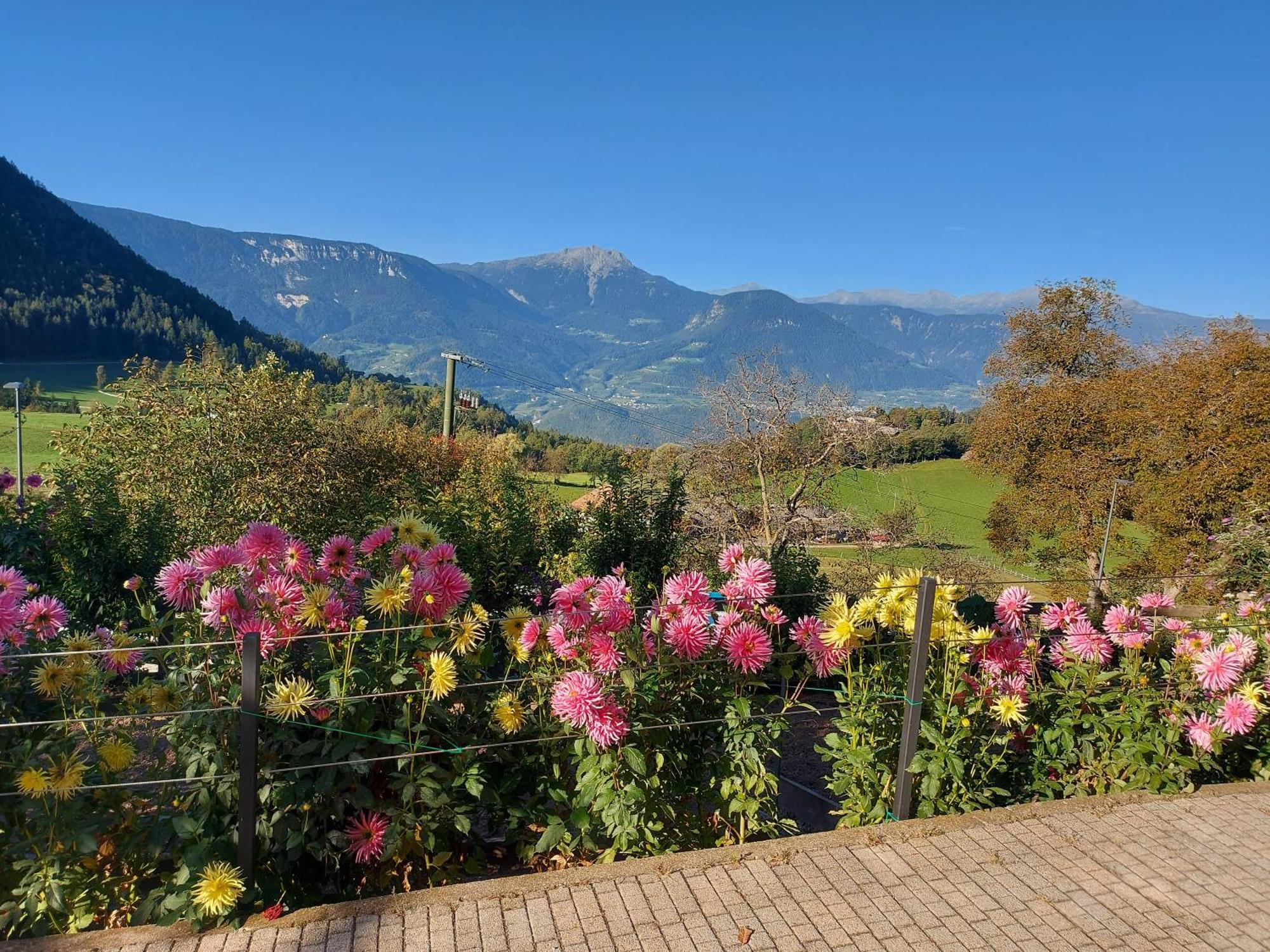 Alpenrose Daire Mölten Dış mekan fotoğraf